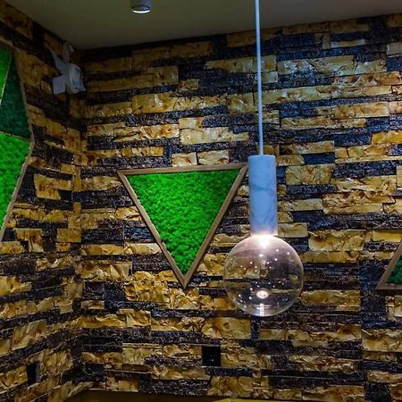 Cyborg Flat Petrosani Apartment Екстериор снимка