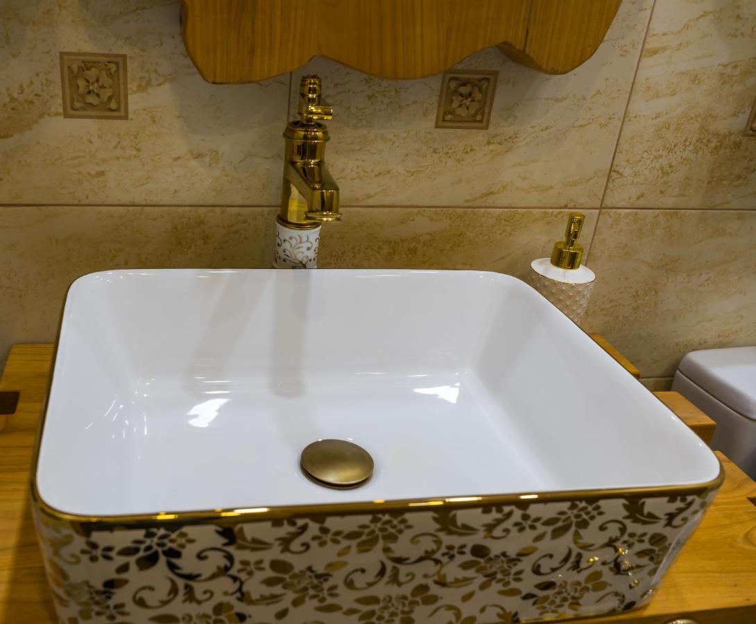 Cyborg Flat Petrosani Apartment Екстериор снимка