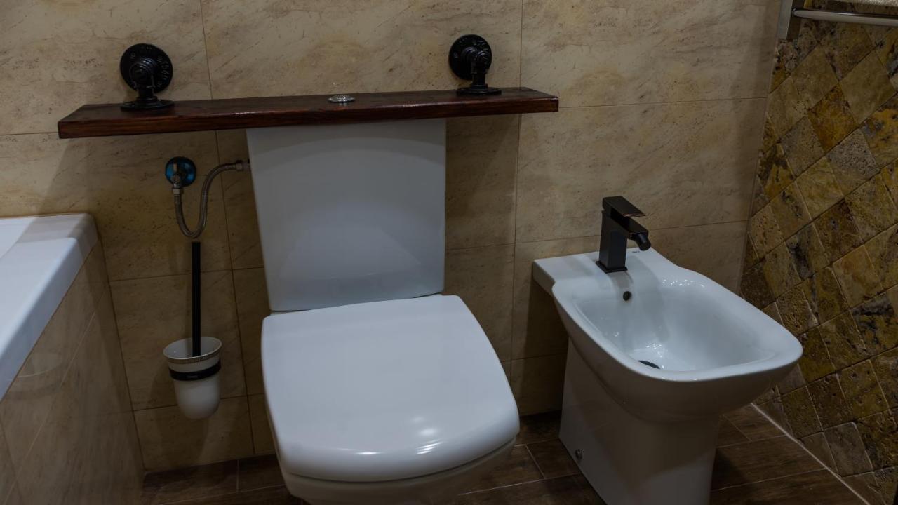Cyborg Flat Petrosani Apartment Екстериор снимка