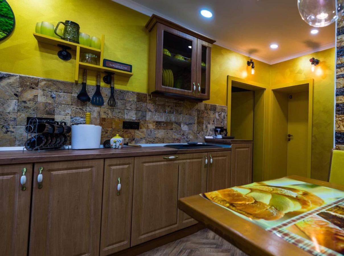 Cyborg Flat Petrosani Apartment Екстериор снимка