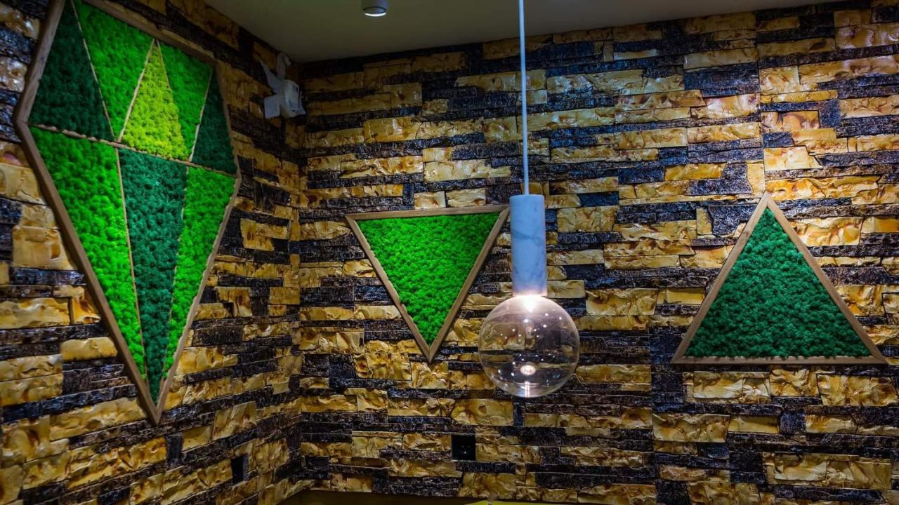 Cyborg Flat Petrosani Apartment Екстериор снимка